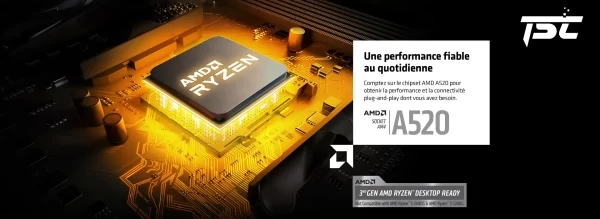 CARTE MERE ASROCK A520M-HDV TRADE SOOLUTIONS COMPANY