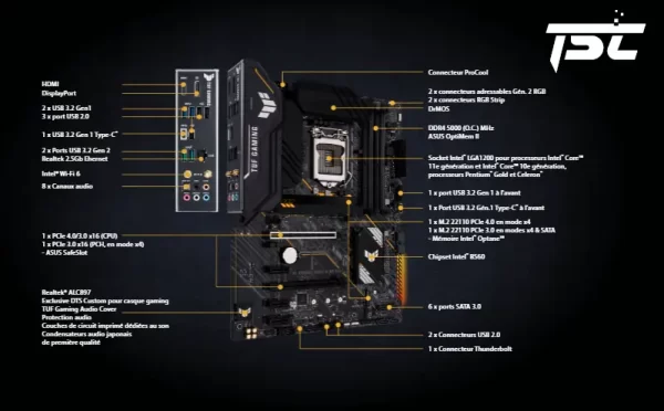 CARTE MERE TUF GAMING B560 PLUS LGA 1200 TRADE SOOLUTIONS COMPANY